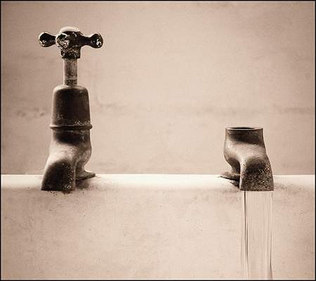 Odd Pair by David Kelly.jpg